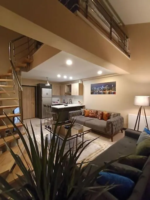 Sehir Merkezinde Loft Residence, Istanbul Havalimanina Metro Ile 25 Dakikada Aktarmasiz Ulasim